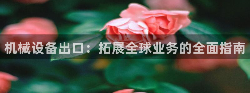 j9vminternals.ensureerror