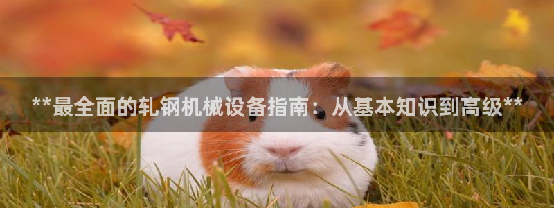 九游会ag官方网站在哪
