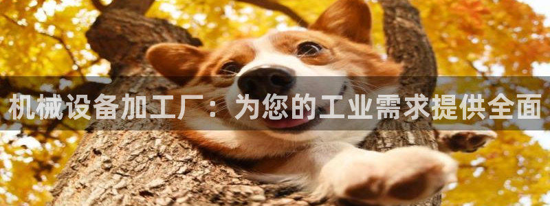 J9九游会登陆