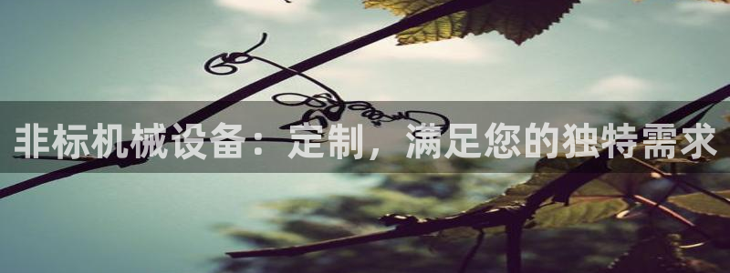 ag改九游会