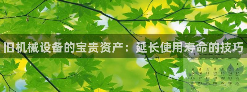 九游会是什么平台