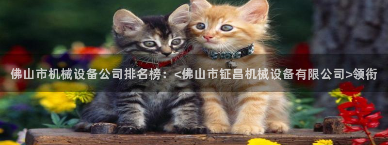 九游会官网老哥俱乐部