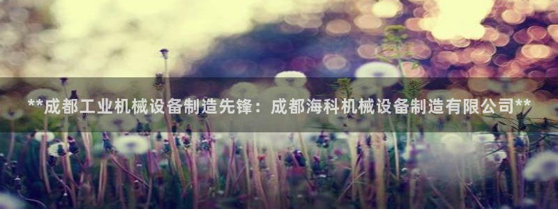 九游会软件