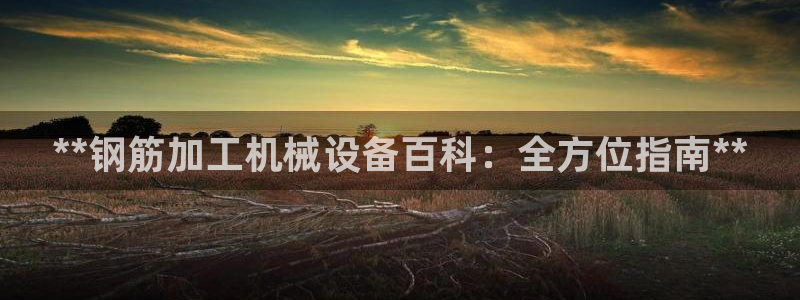 ag九游会老哥