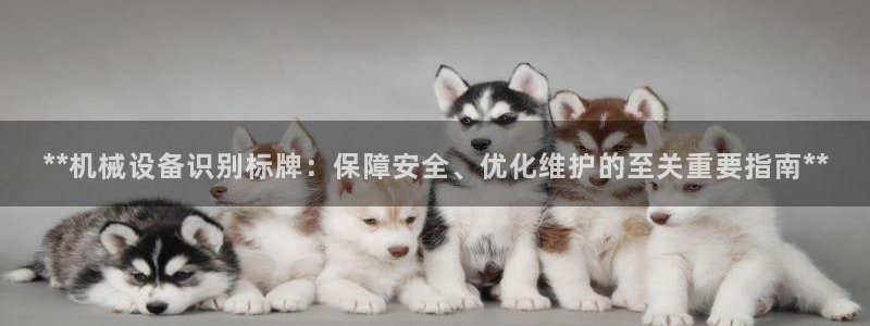 九游会官网网址是多少