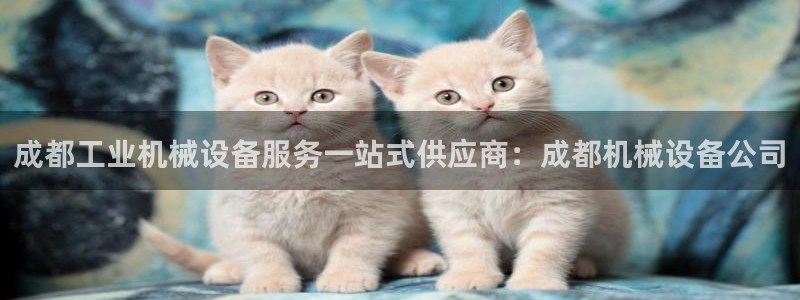 九游会j9登录官网