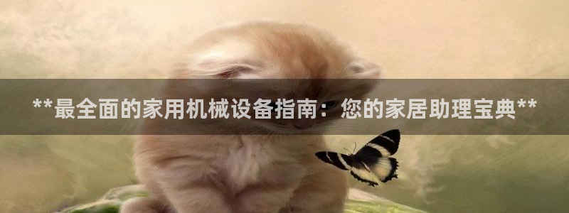 九游会国际厅