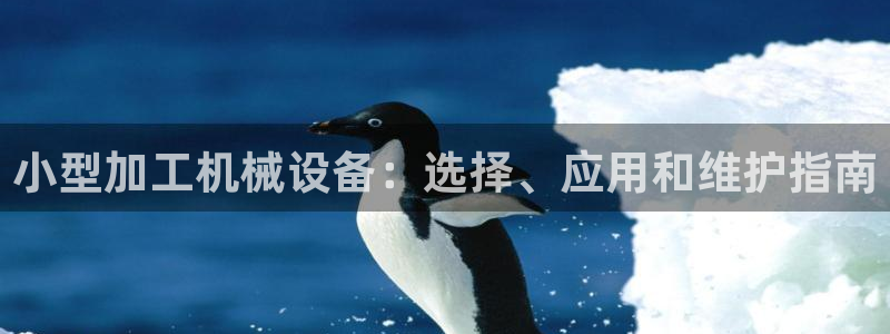 九游会真人第一品牌游戏合营