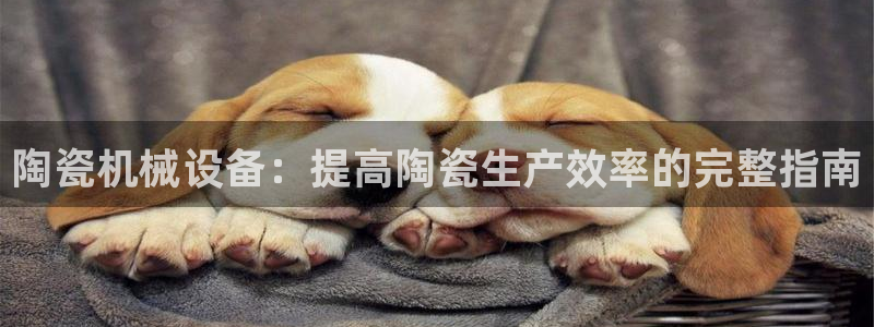 九游会是干嘛的软件