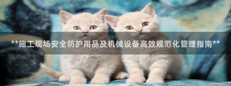 ag老队友