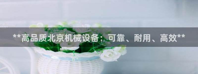 九游会ag平台