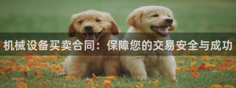 九游会官网ag旧版