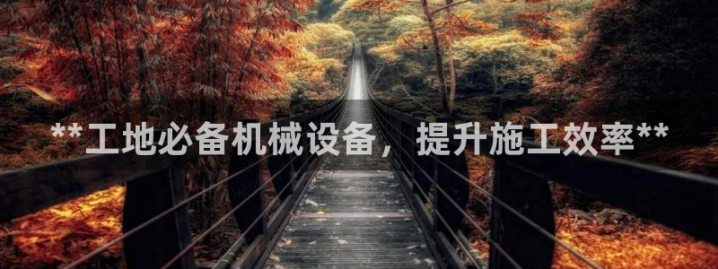 9游会app