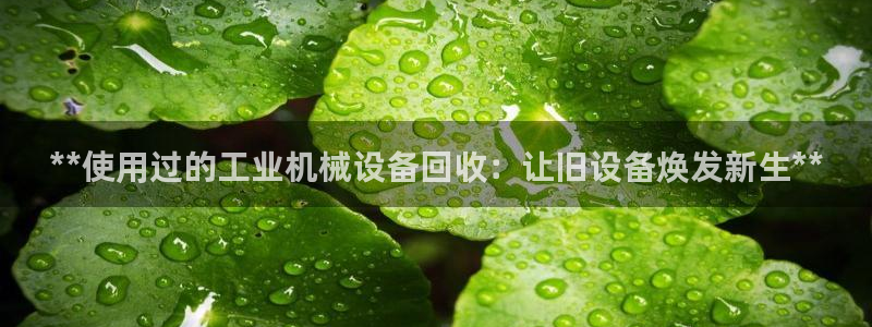 九游会 app下载