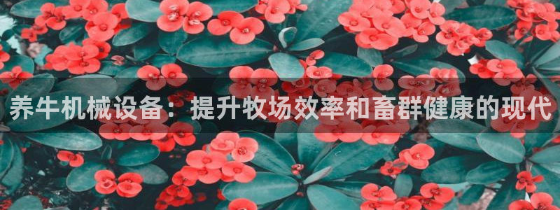 九游会官网进入口