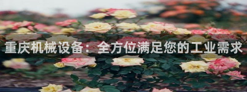 j9九游会直营