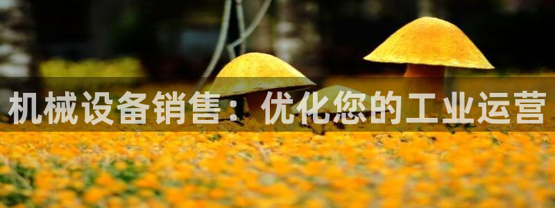 九游会官方链接