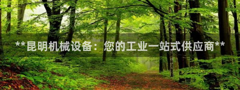 九游会 app下载