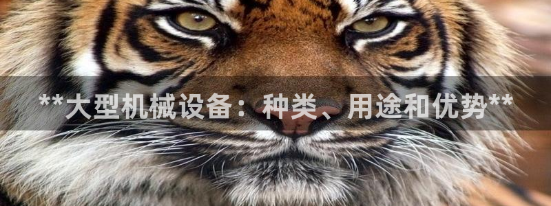 九游会跟ag是怎么一回事