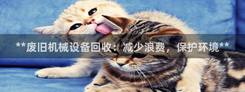 九游会在线官方网站下载吗