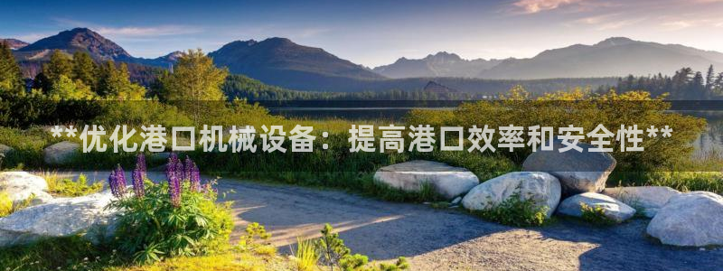 九游会跟ag是怎么一回事