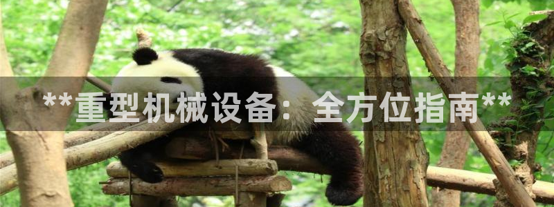 九游会app下载版官网正版