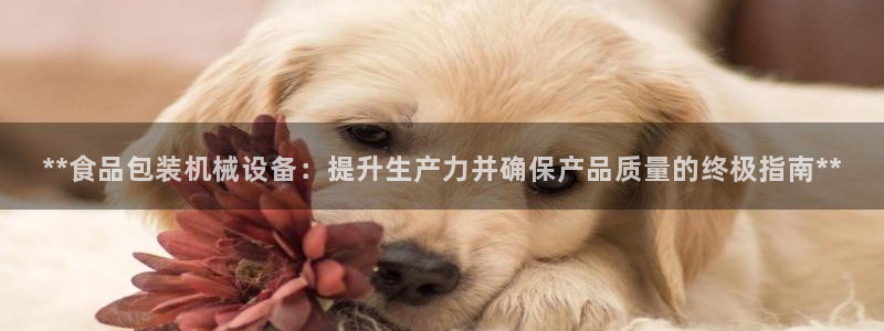 j9九游会app官方下载