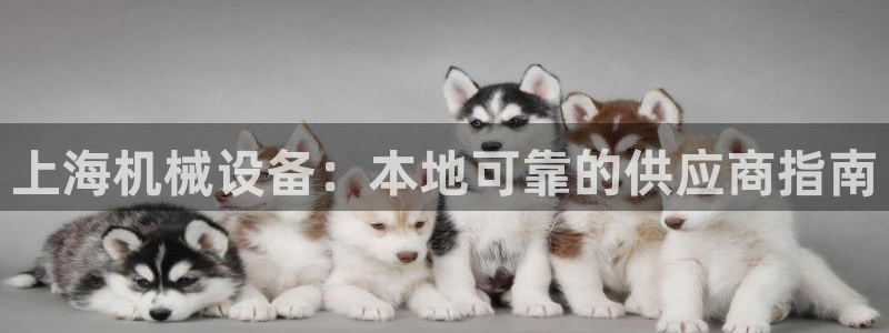 九游会j9官网网站