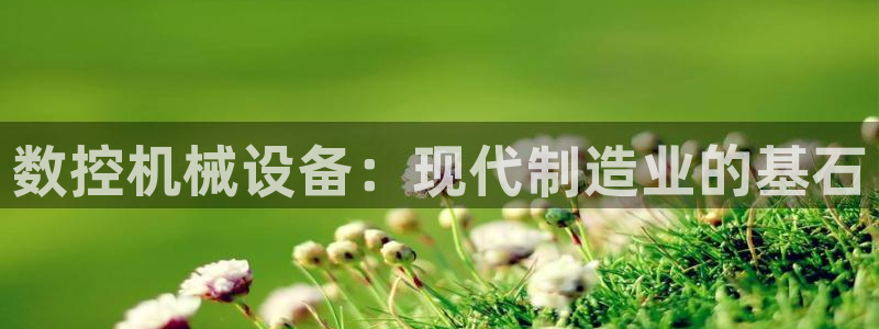 j9九游会不出款