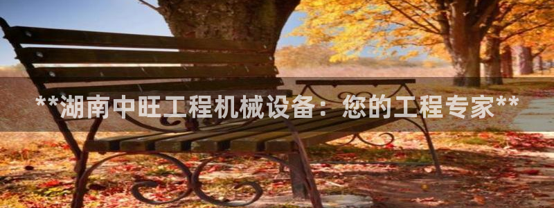 九游会ag私享