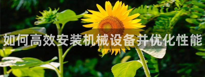 九游j9登陆