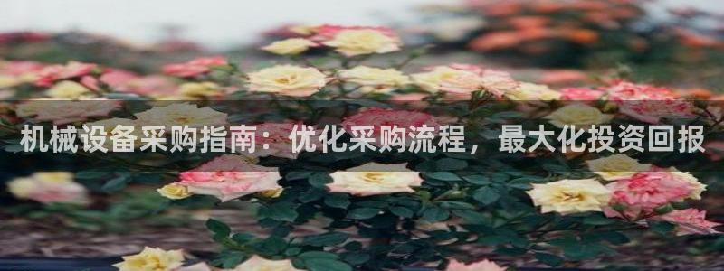 九游会老哥必备的交流社区九