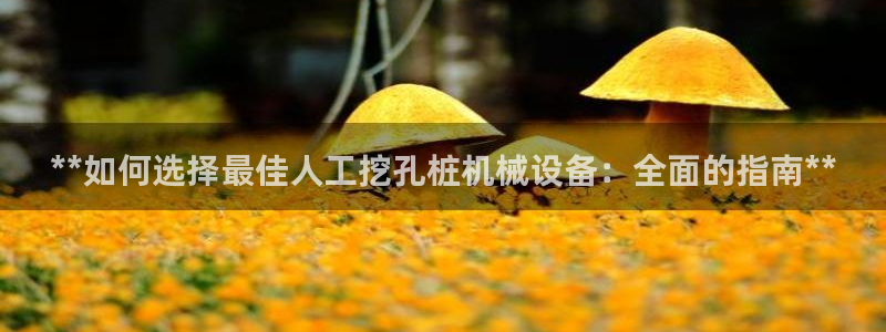 九游会 app