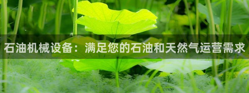 j9九游会老哥俱乐部八戒