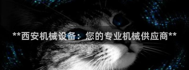 9游会旗舰