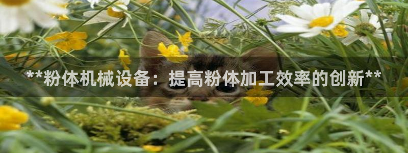 j9.cn