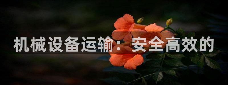 九游会集团