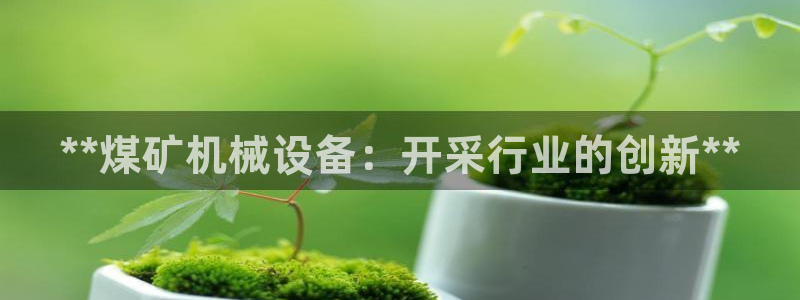九游j9会