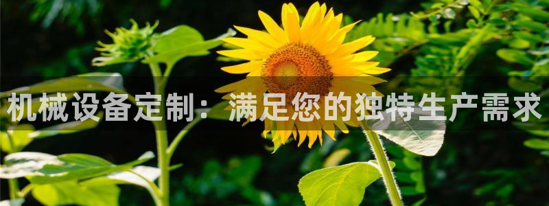 九游J9官方网站