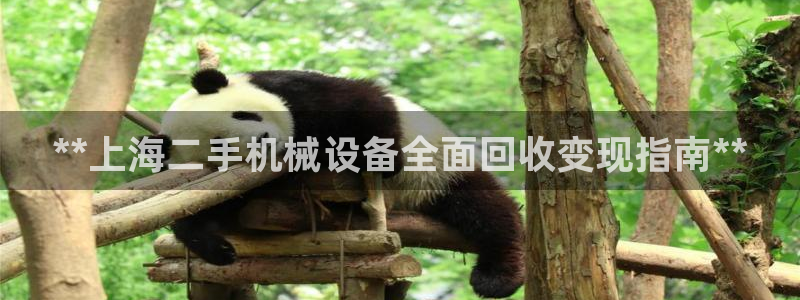 九游j9官网入口