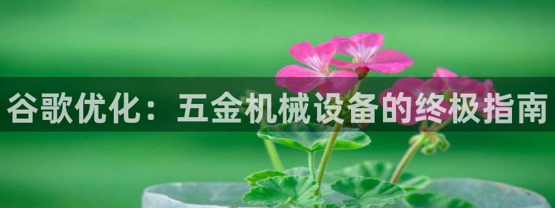 ag老队友