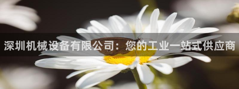 九游会j9全站平台