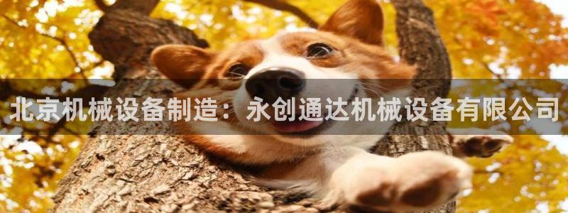 j9九游会网址