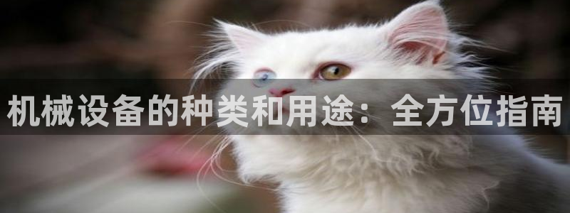 j9九游会app官网下载