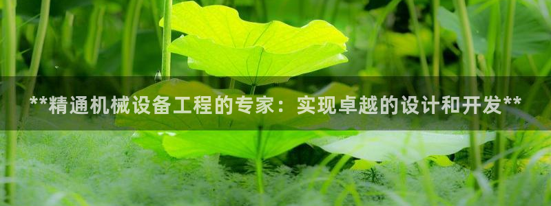 九游会关服吗