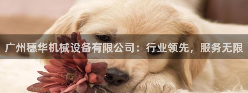 J9九游会试玩入口