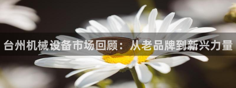 九游会官网下载