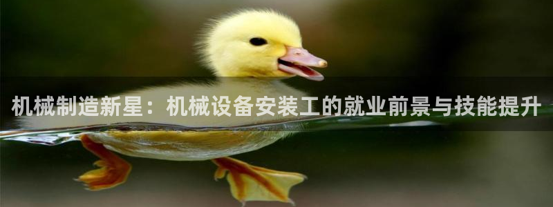 九游会官方在线