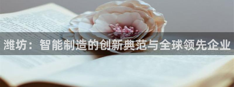 九游会亚洲唯一合作伙伴