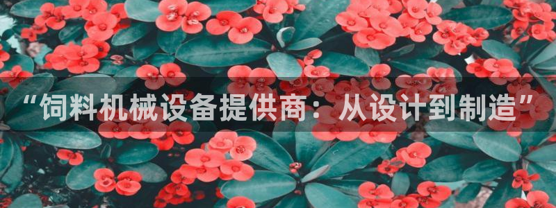 九游会j9全站平台